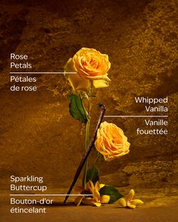 Belle Fine Fragrance Mist image number null