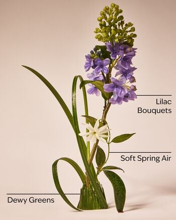 Fresh Cut Lilacs PocketBac Hand Sanitizer PocketBac Hand Sanitizer