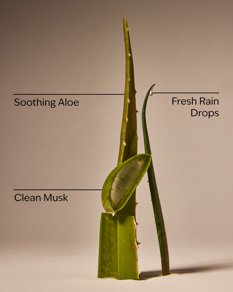 Cool Aloe Water Daily Moisturizing Hand Soap Daily Moisturizing Hand Soap