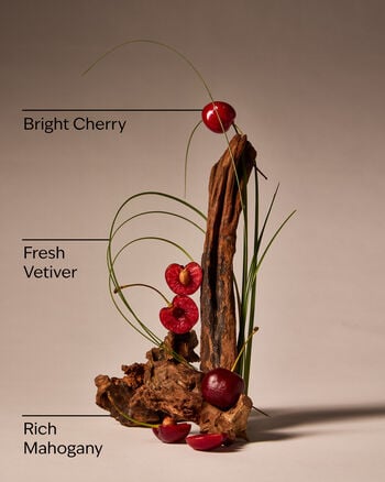 Mahogany Cherry Wallflowers Fragrance Refill Wallflowers Fragrance Refill