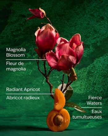 Mulan Body Wash Body Wash