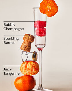 Champagne Toast Hanging Fragrance Diffuser image number null