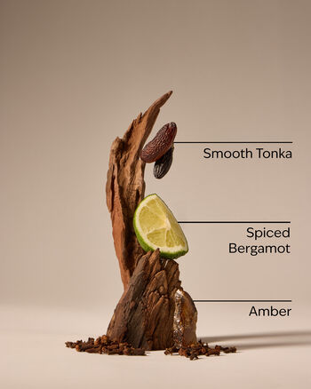 After Dark Daily Nourishing Body Lotion Daily Nourishing Body Lotion