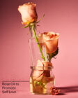 Heirloom Rose Body Lotion image number null