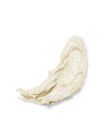 Champagne Toast Lip Scrub image number null