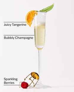 Champagne Toast Lip Mask