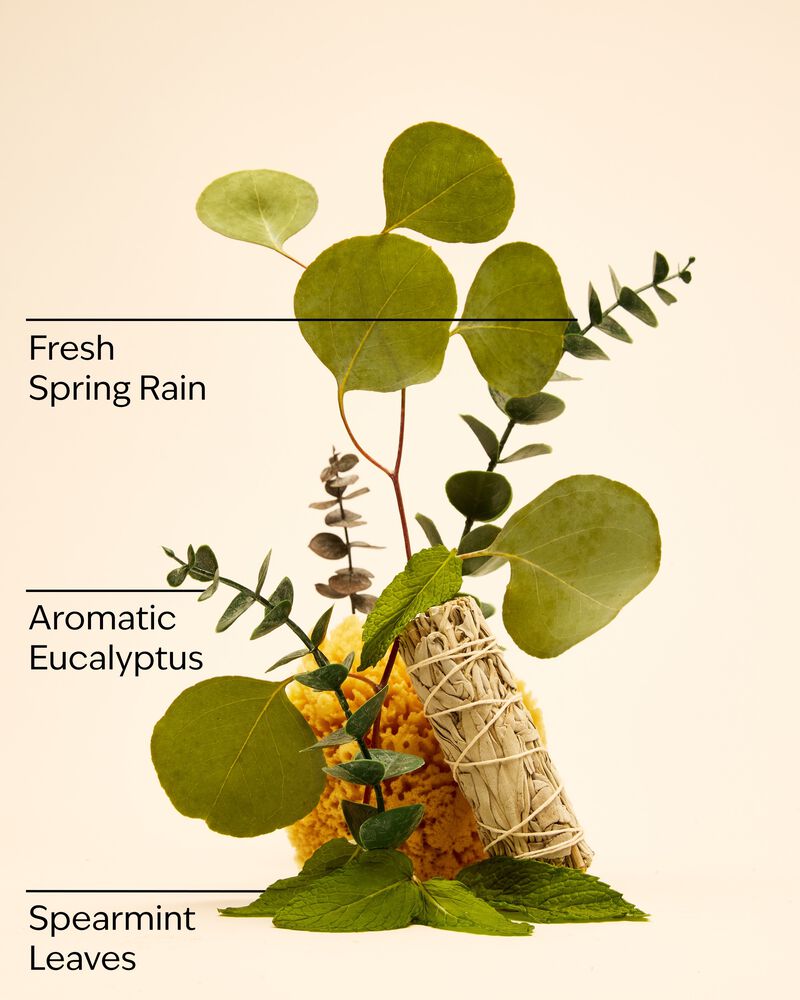 Eucalyptus Spearmint Travel Size Ultimate Hydration Body Cream Travel Size Ultimate Hydration Body Cream
