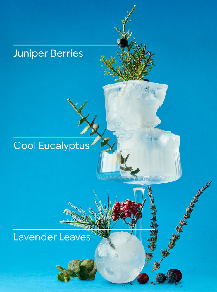 Frozen Lake PocketBac Cleansing Hand Gel PocketBac Cleansing Hand Gel