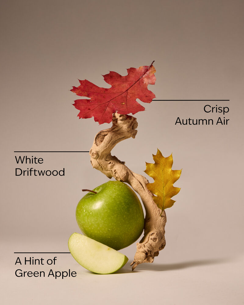 Lakeside Morning Wallflowers Fragrance Refill Wallflowers Fragrance Refill