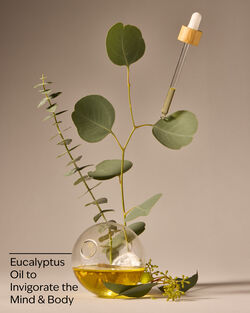 Eucalyptus Essential Oil Mist