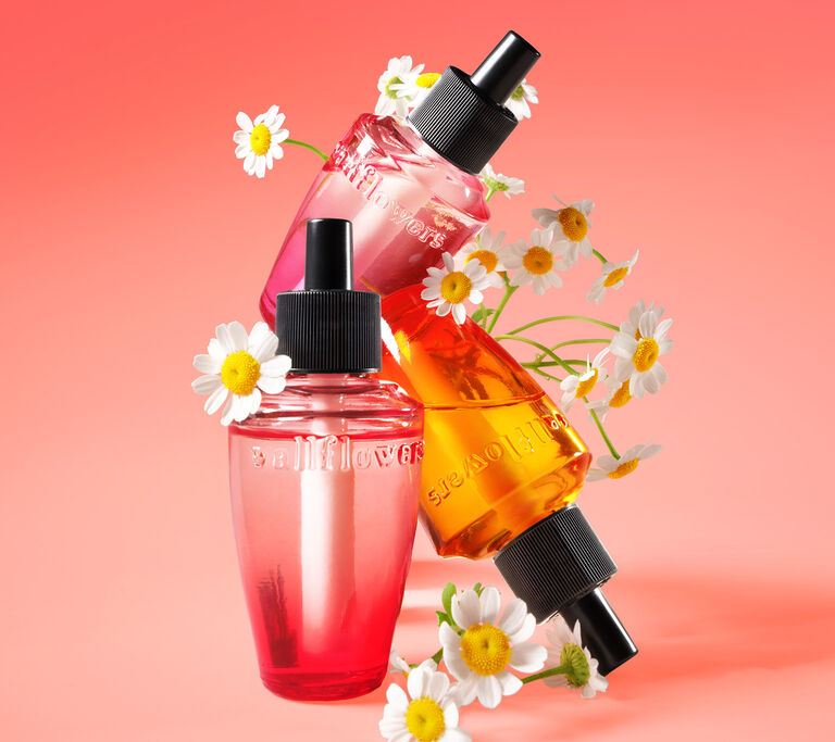 Wallflowers Sale