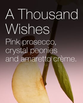 A Thousand Wishes