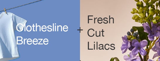 Clothesline Breeze + Fresh Cut Lilacs