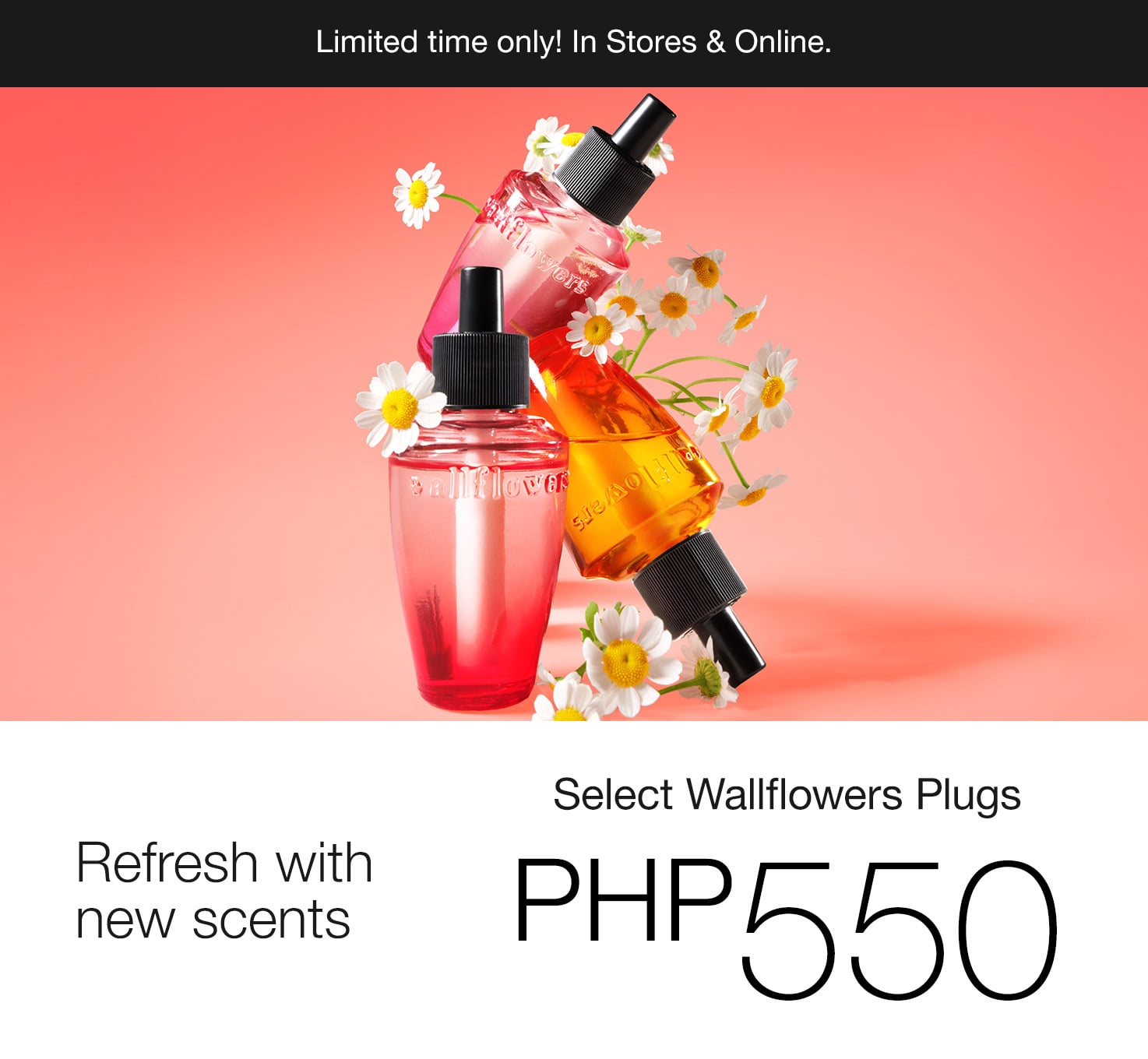 Wallflowers Plugs, Buy 1 For ₱550