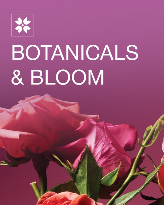 Botanicals & Bloom